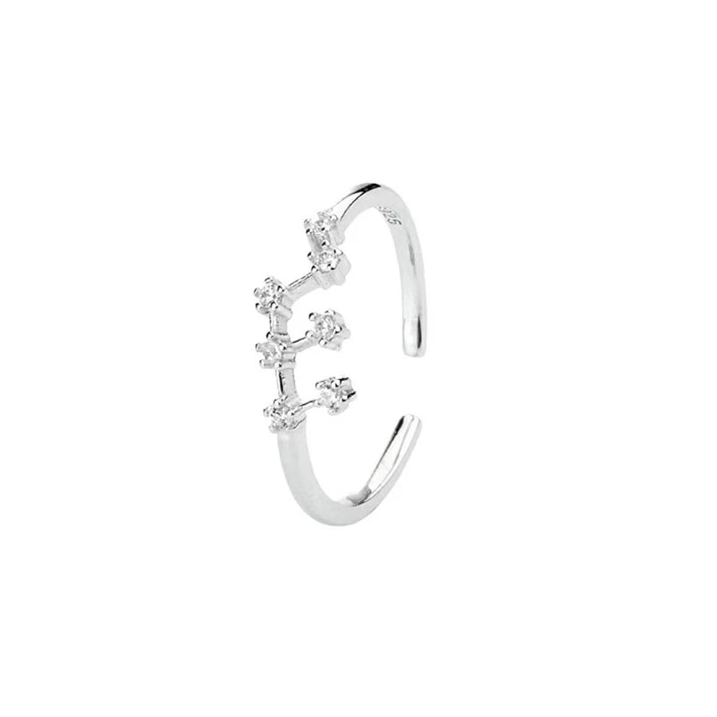 ROXI 925 Sterling Silver 12 Constellations Series Crystal Finger Rings For Women Men Couple Adjustable Jewelry Birthday Gift