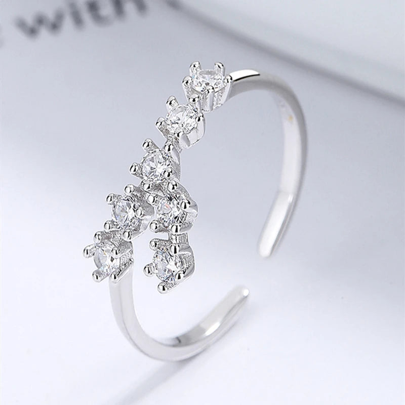 ROXI 925 Sterling Silver 12 Constellations Series Crystal Finger Rings For Women Men Couple Adjustable Jewelry Birthday Gift